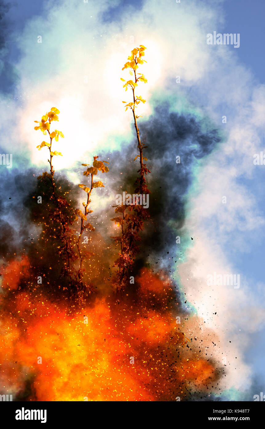 Digitally enhanced image of a Biblical burning Bush (Book of Exodus[3:1–4:17]) in the desert Stock Photo