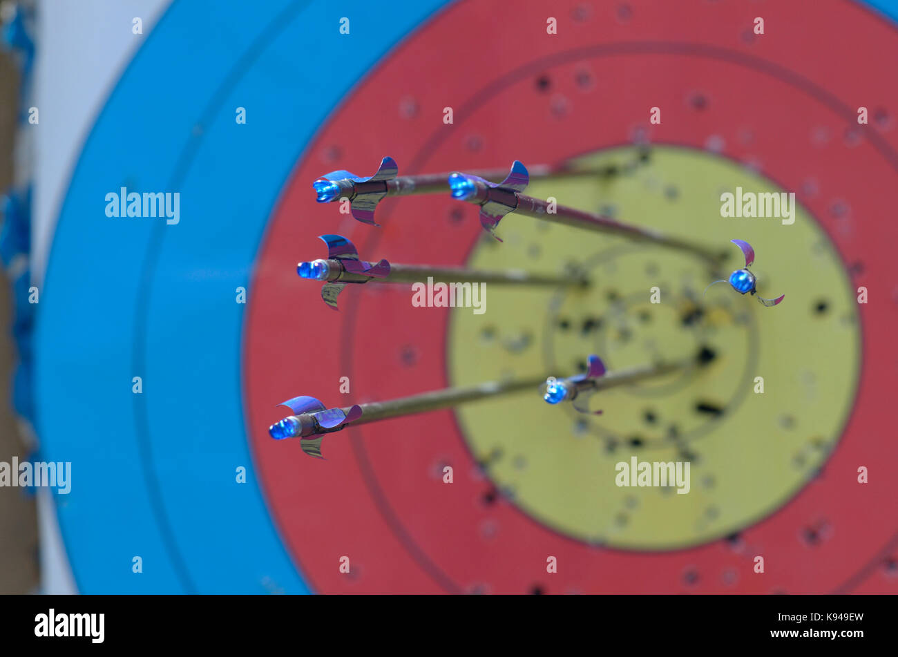 Archery targets with an arrows in them Stock Photo Alamy