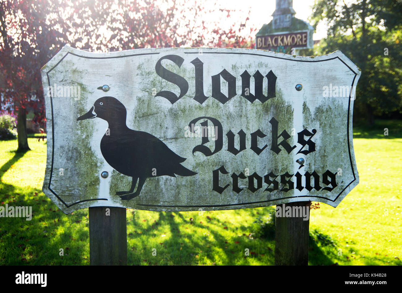 Blackmore Slow Ducks Crossing Sign by Village Pond, Essex, Stock Photo