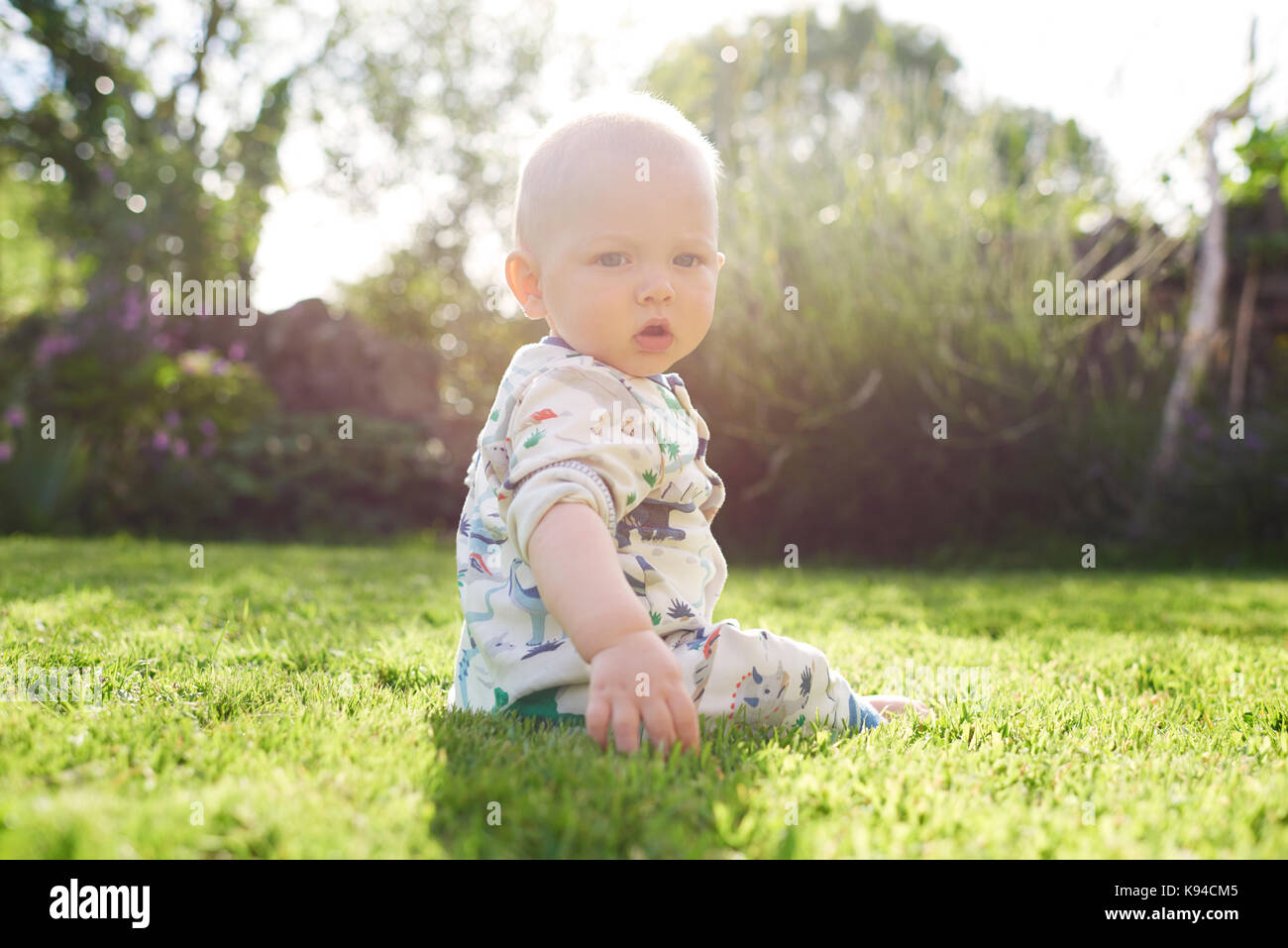 Portrait of a very young baby wearing a colourful onsey in the garden with lovely sunlight and greenery surrounding his serene situation in life. Stock Photo
