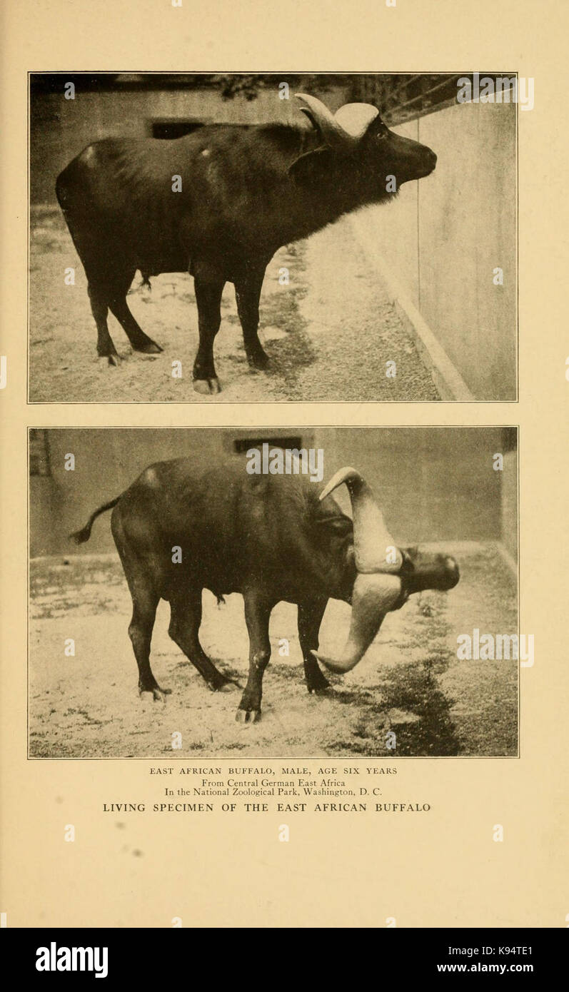 Africa visual data 8