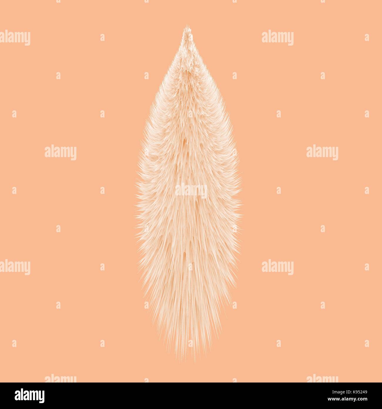 Animal Fur Tail Isolated on Orange Background Stock Vector