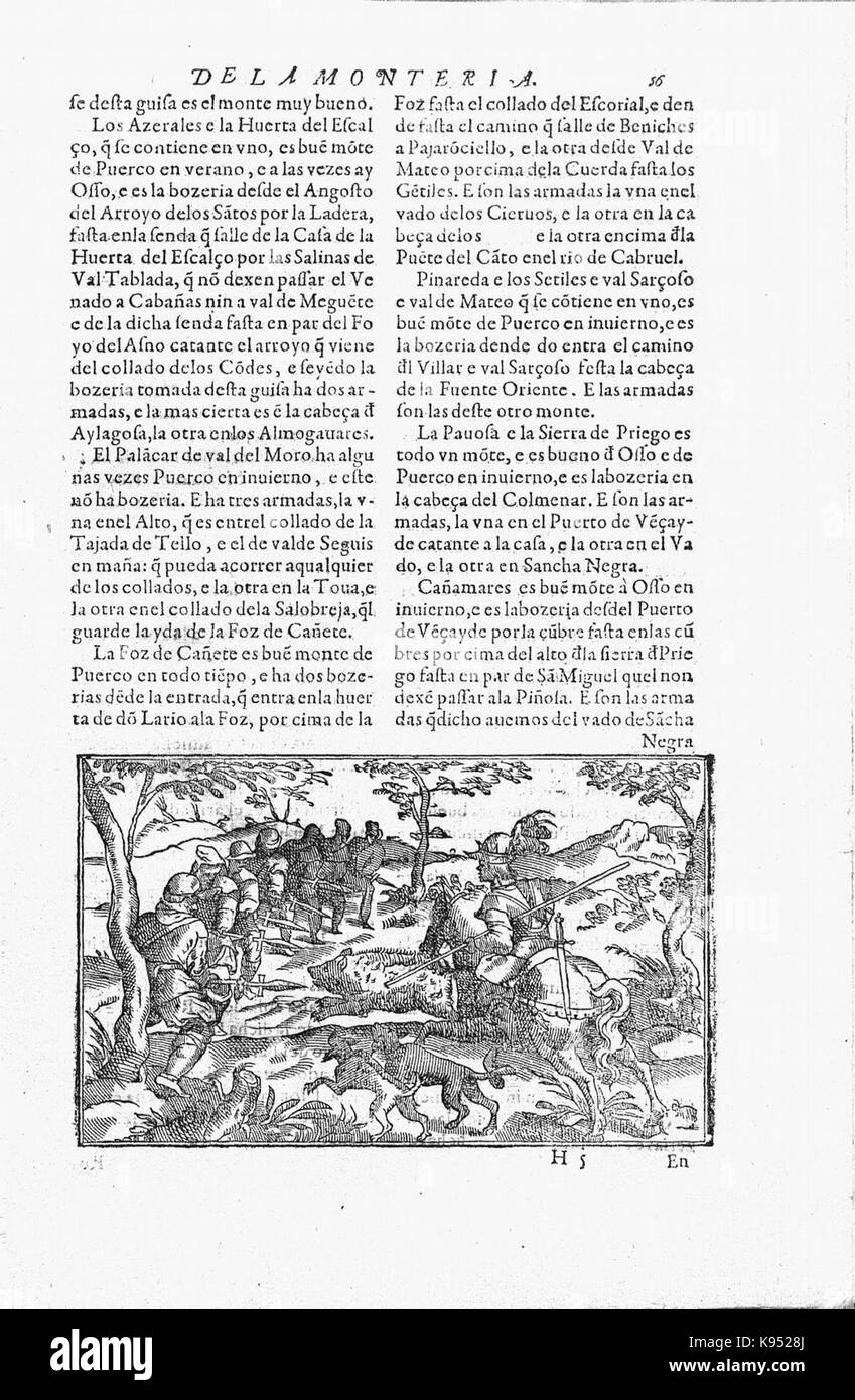 Libro de la monteria fol 59, recto Stock Photo