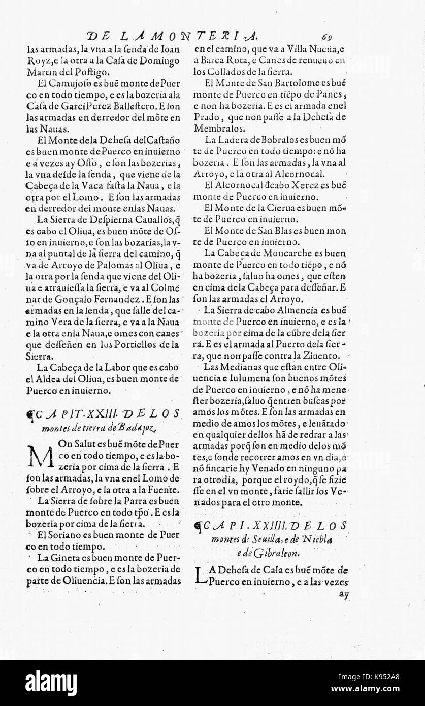 Libro de la monteria fol 77, recto Stock Photo