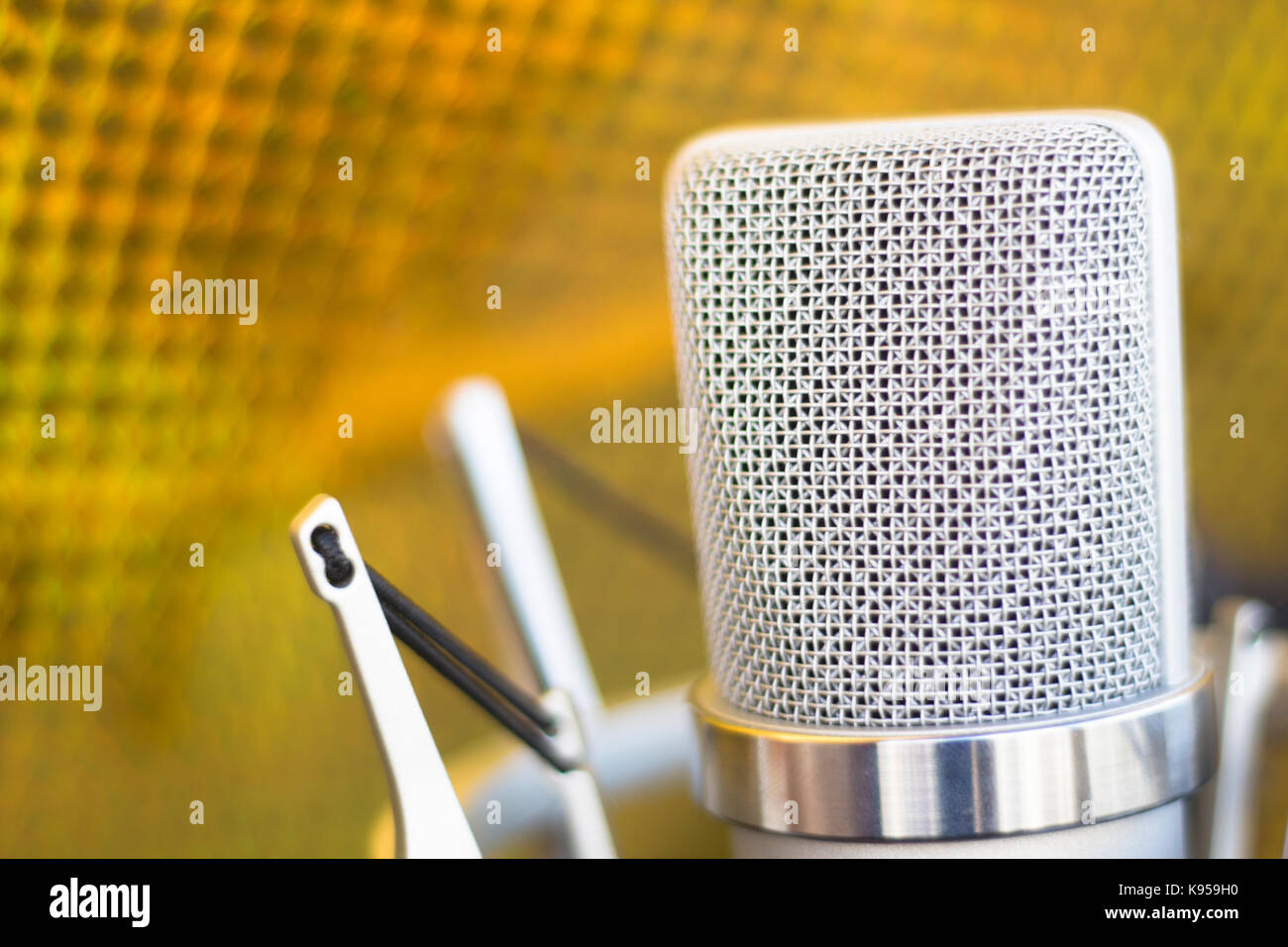 Large diaphragm condenser studio recording voice microphone to record ...
