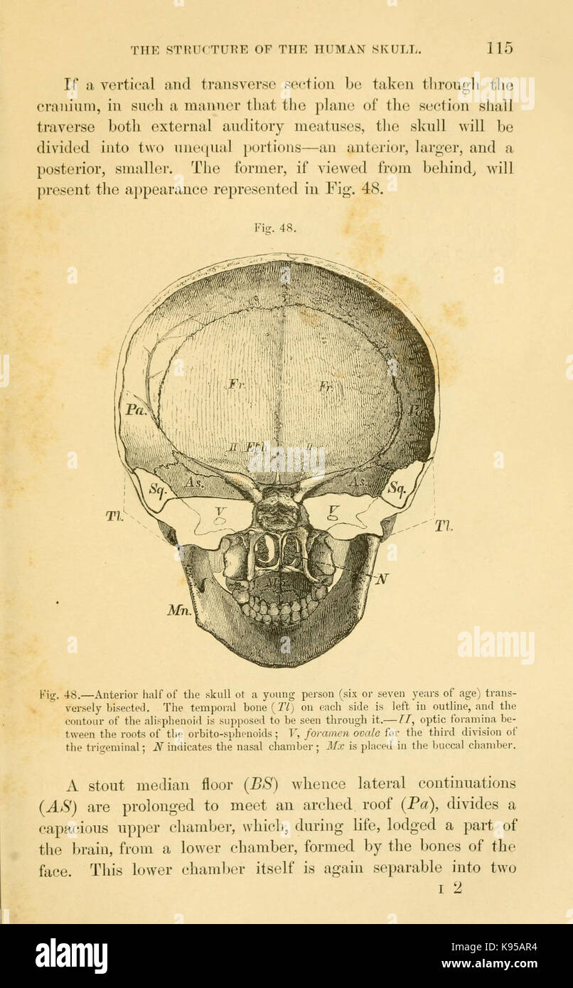 Comparative anatomy textbook hi-res stock photography and images - Alamy