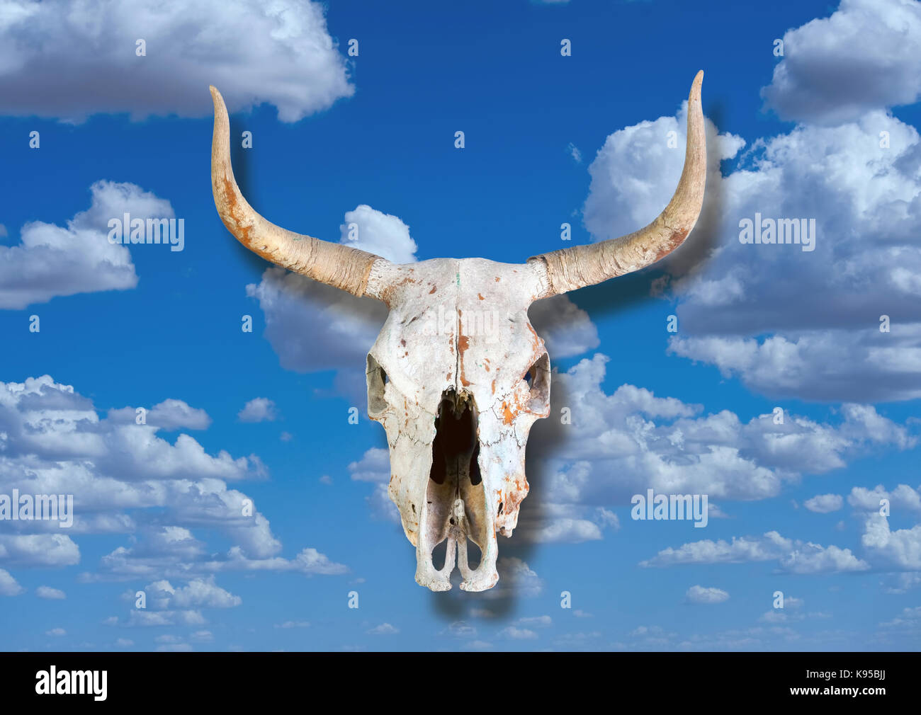 Cow skull in the blue sky heavens. Stock Photo