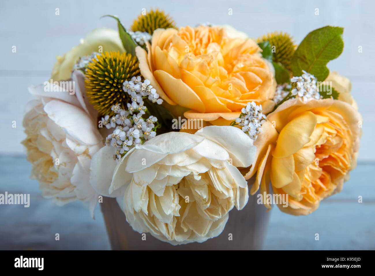 Beautiful English rose flower bouquet on white background Stock Photo ...