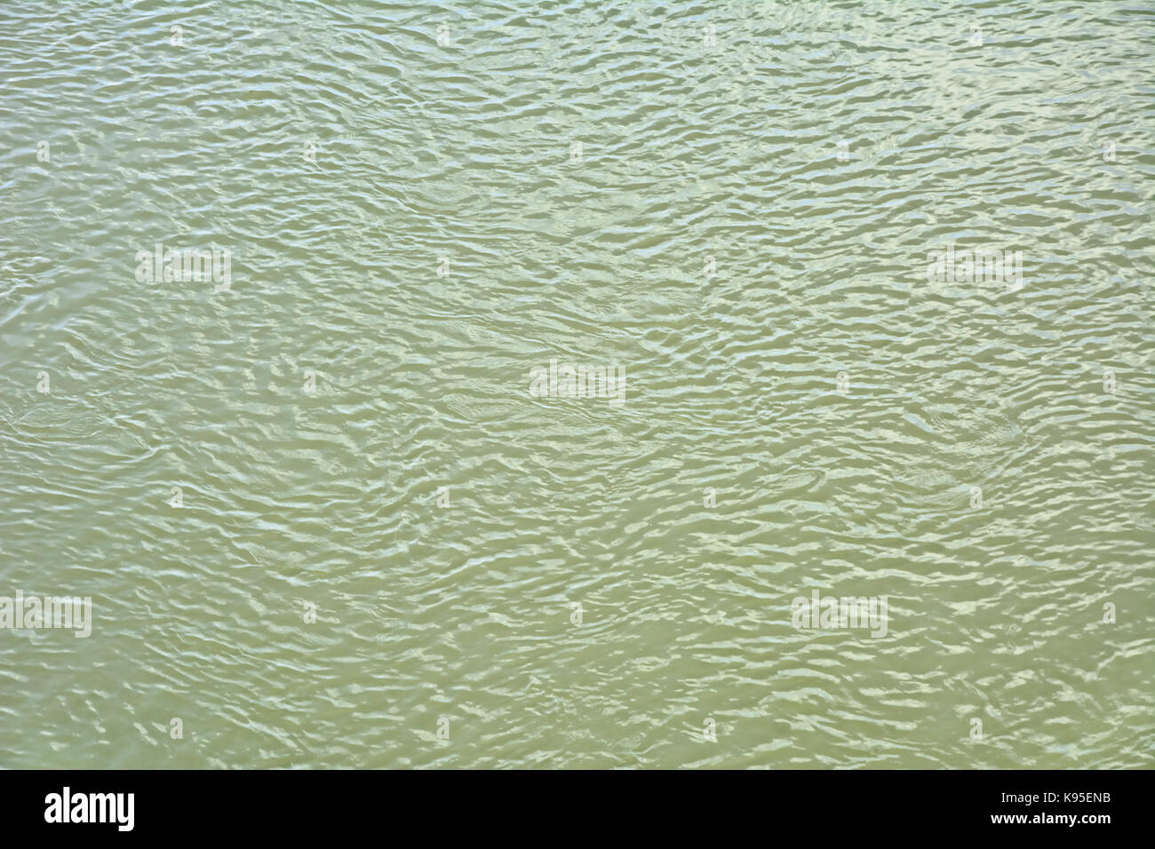 Small waves. Wrinkled by the wind surface water. Small short waves driven wind. Stock Photo