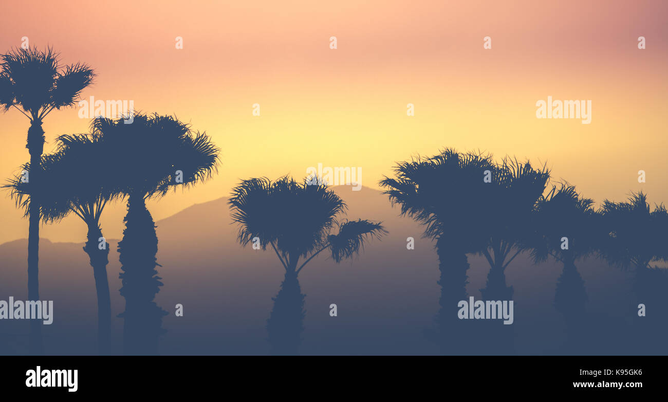 Retro Vintage Style Sunset Palm Trees Against A Desert Mountain Backdrop In Palm Springs USA Stock Photo