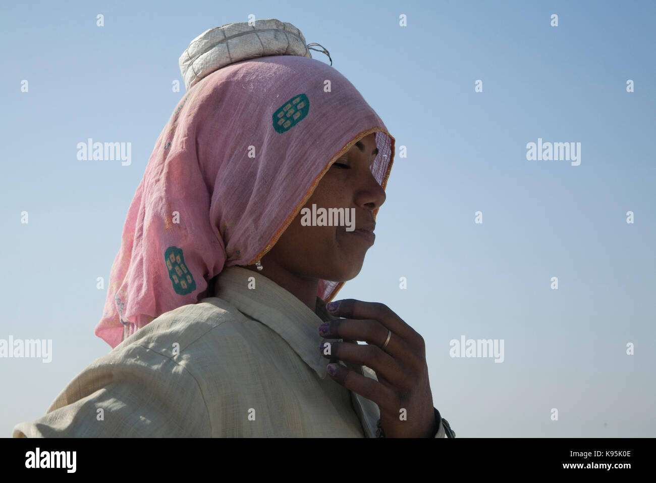 Rajasthan lime work Stock Photo Alamy