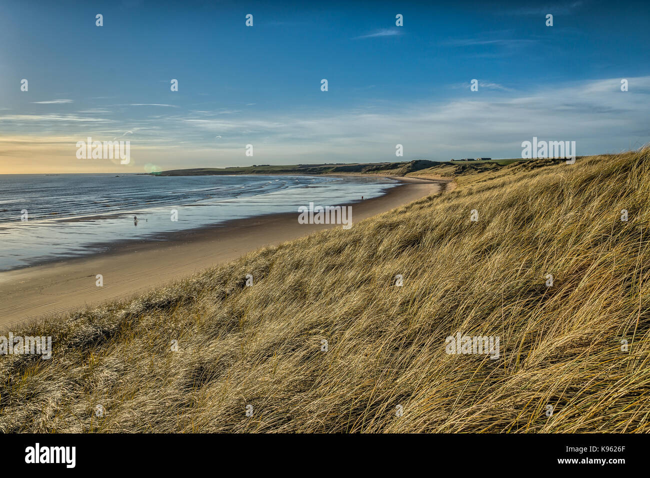 Cruden Bay beach and dunes Stock Photo Alamy