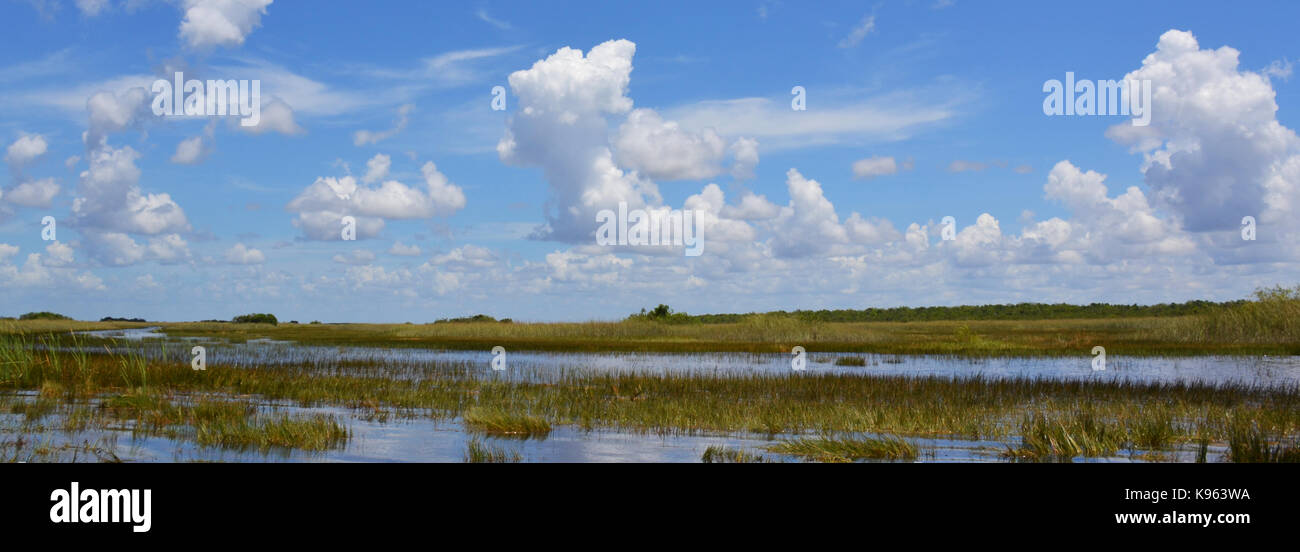 Florida wetland. Everglades National Park in Florida, USA Stock Photo
