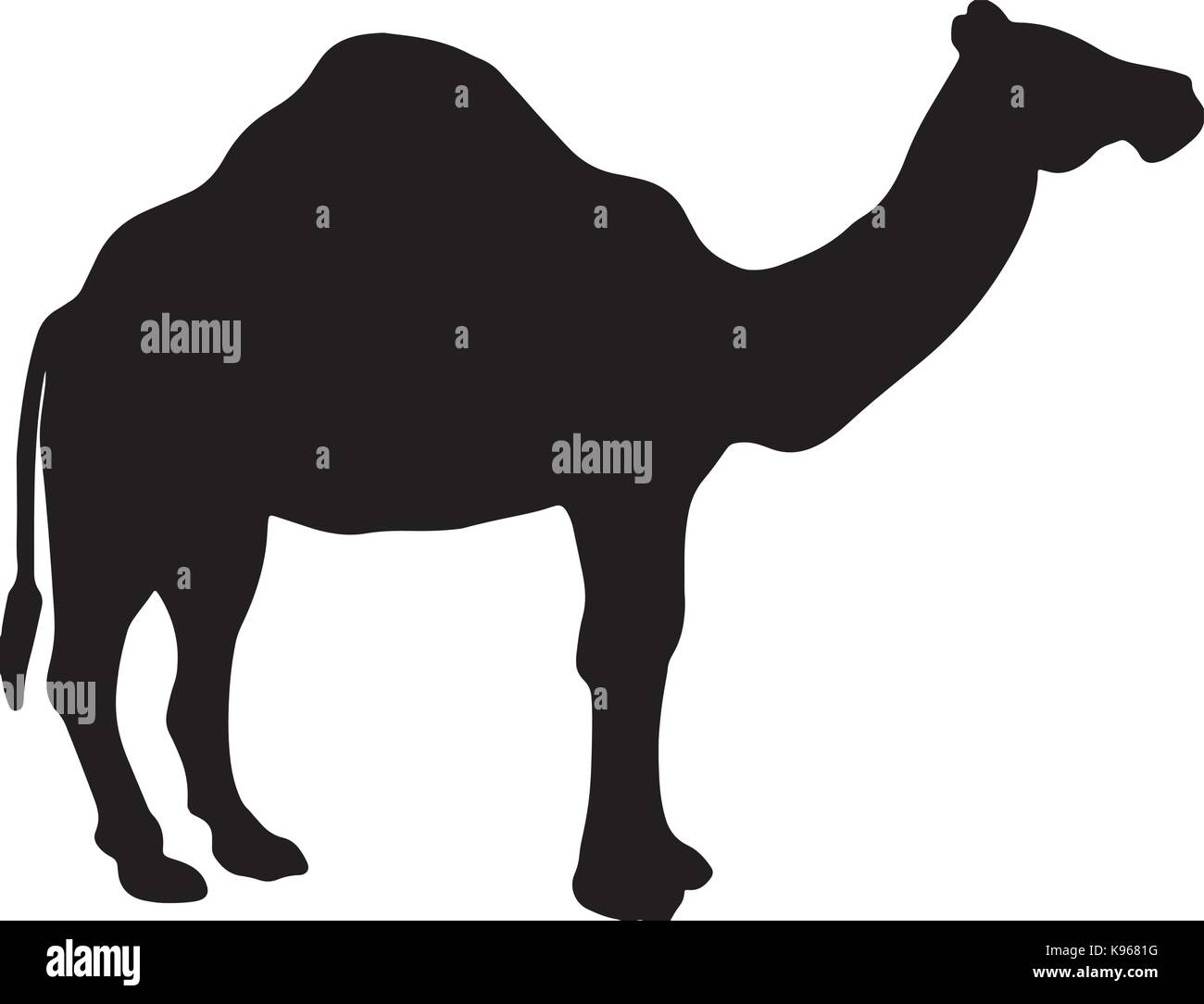black and white vector silhouette of a camel Stock Vector