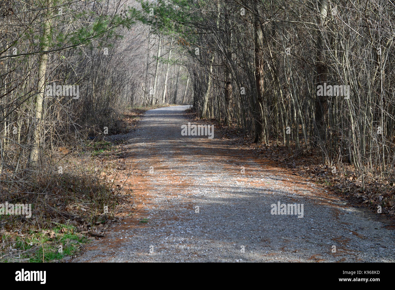 Hiking trail at one of the many metro parks in Ohio. Taken in the early spring Stock Photo
