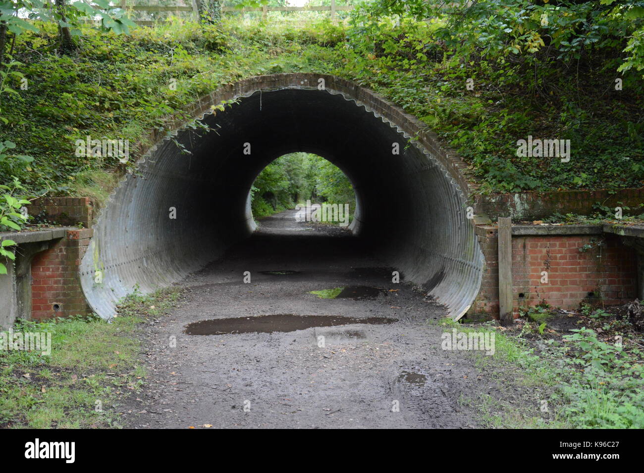 Disused Railway; West Grinstead Sussex; Closed on 7th March 1966 following Beeching Report Stock Photo