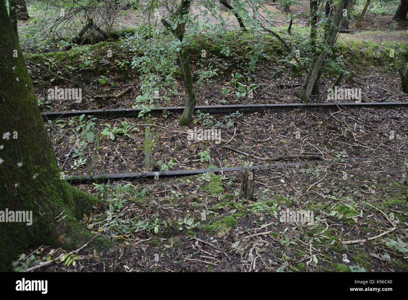 Sidings at disused Railway; West Grinstead Sussex; Closed on 7th March 1966 following Beeching Report Stock Photo