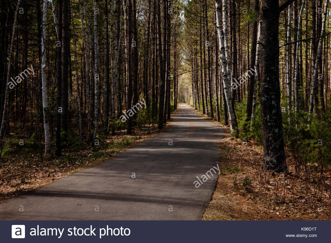 Spring In Vilas Park >> The Vilas County Bike Trail Cuts Through Cyrstal Muskellunge State Spring In Vilas Park >> The Vilas County Bike Trail Cuts Through Cyrstal Muskellunge State