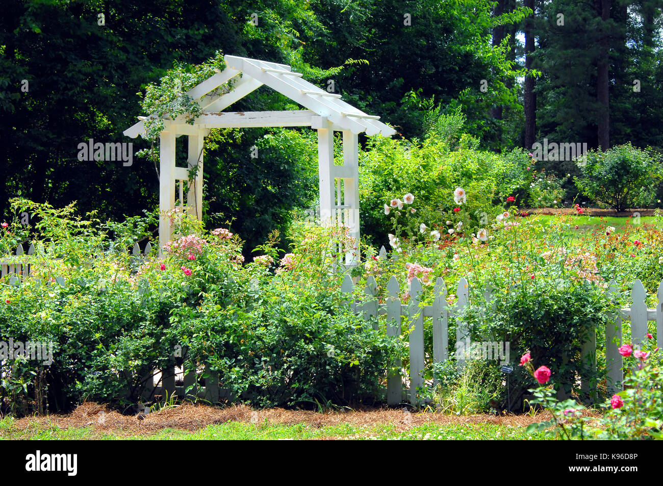 Gardens of the American Rose Center in Shreveport, Louisiana has beautiful landscaping with this white wooden pavillion and white picket fence.  Holly Stock Photo