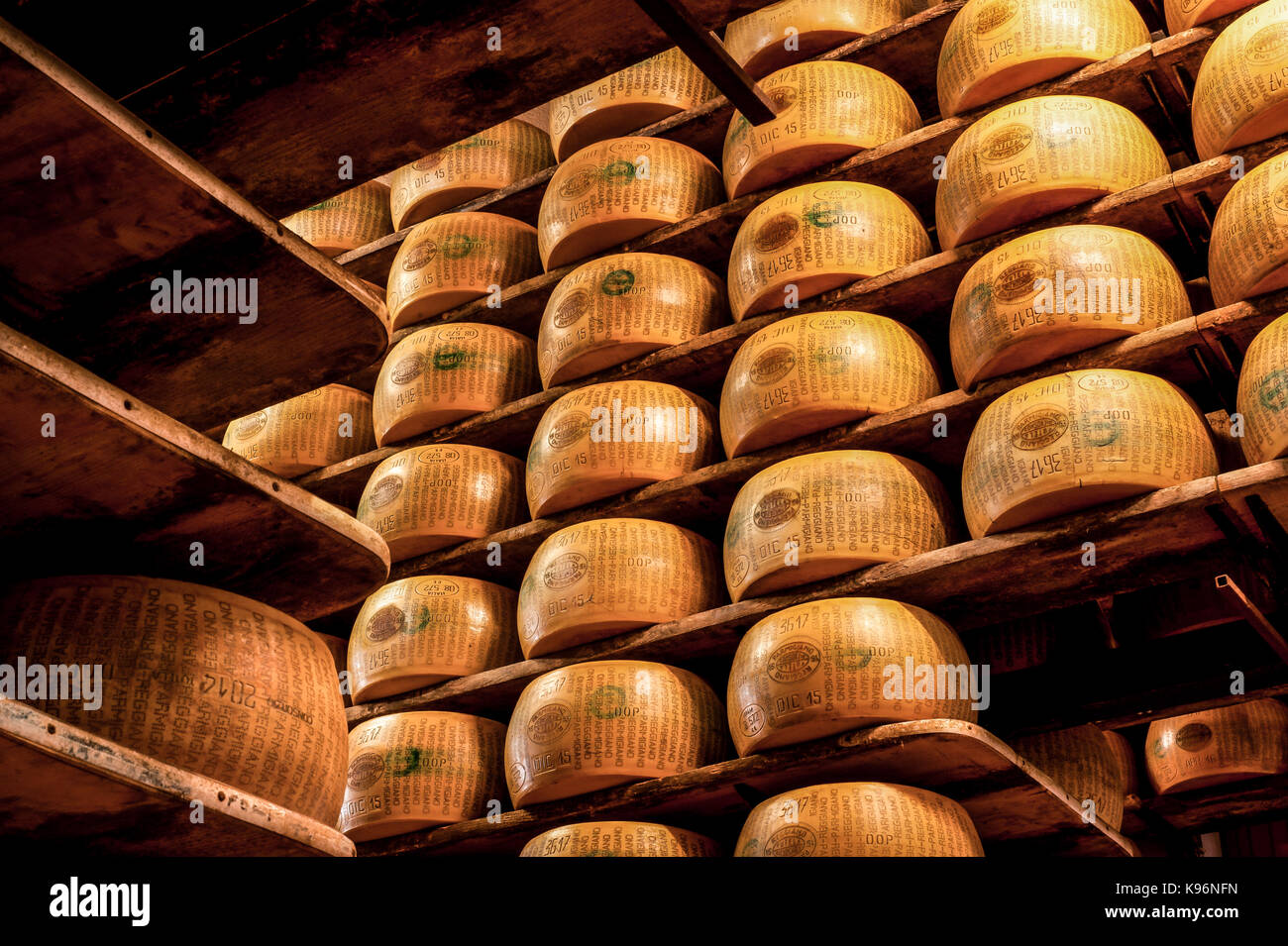 Whole Parmigiano-Reggiano cheeses sit on storage racks during the aging process Stock Photo
