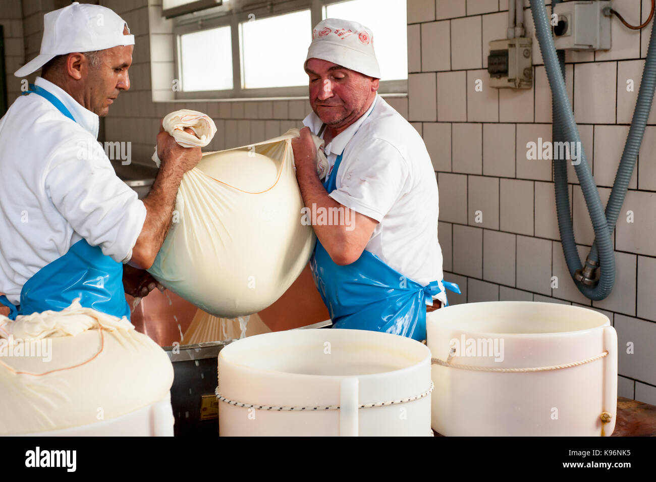 Workers lift a wrapped cheese from a tank before encasing it in a 'fascera' mould during the Parmigiano-Reggiano cheese manufacturing process Stock Photo