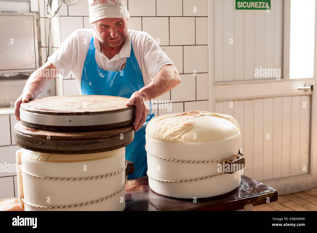 Workers encase the wrapped cheese in a 'fascera' mould during the Parmigiano-Reggiano cheese manufacturing process at Stock Photo