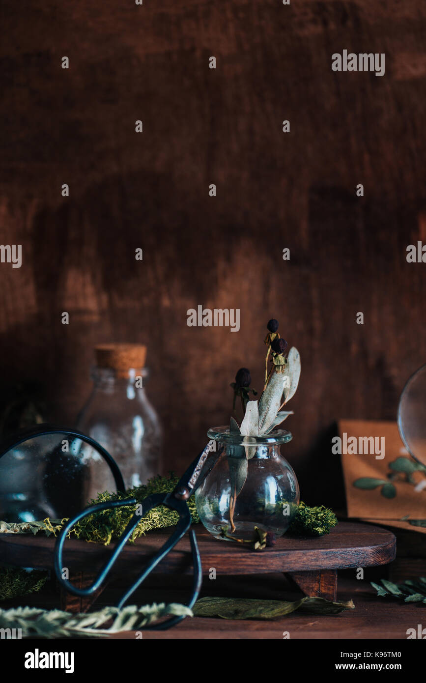 Warm still life with glass jars, magnifying glass, scissors, dried plants, moss and craft paper envelopes Stock Photo