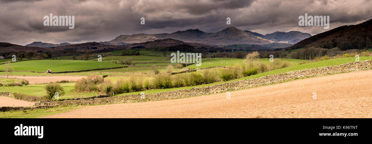 Early spring in the Crake Valley looking up to the Furness Fells and Coniston Old Man. Stock Photo