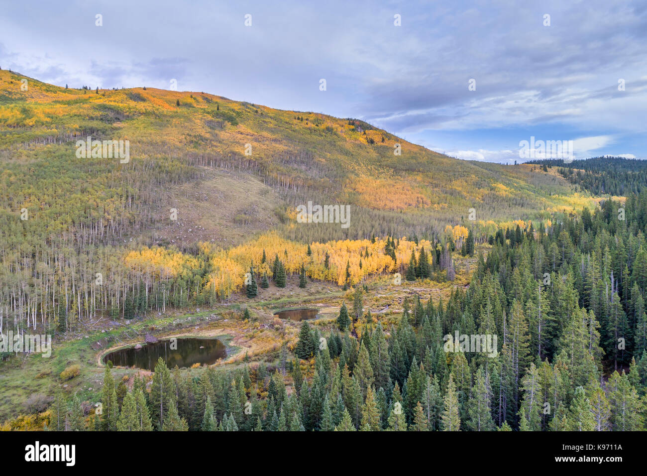 aspen trees in fall colors at Kenosha Pass in Colorado, aerial view Stock Photo