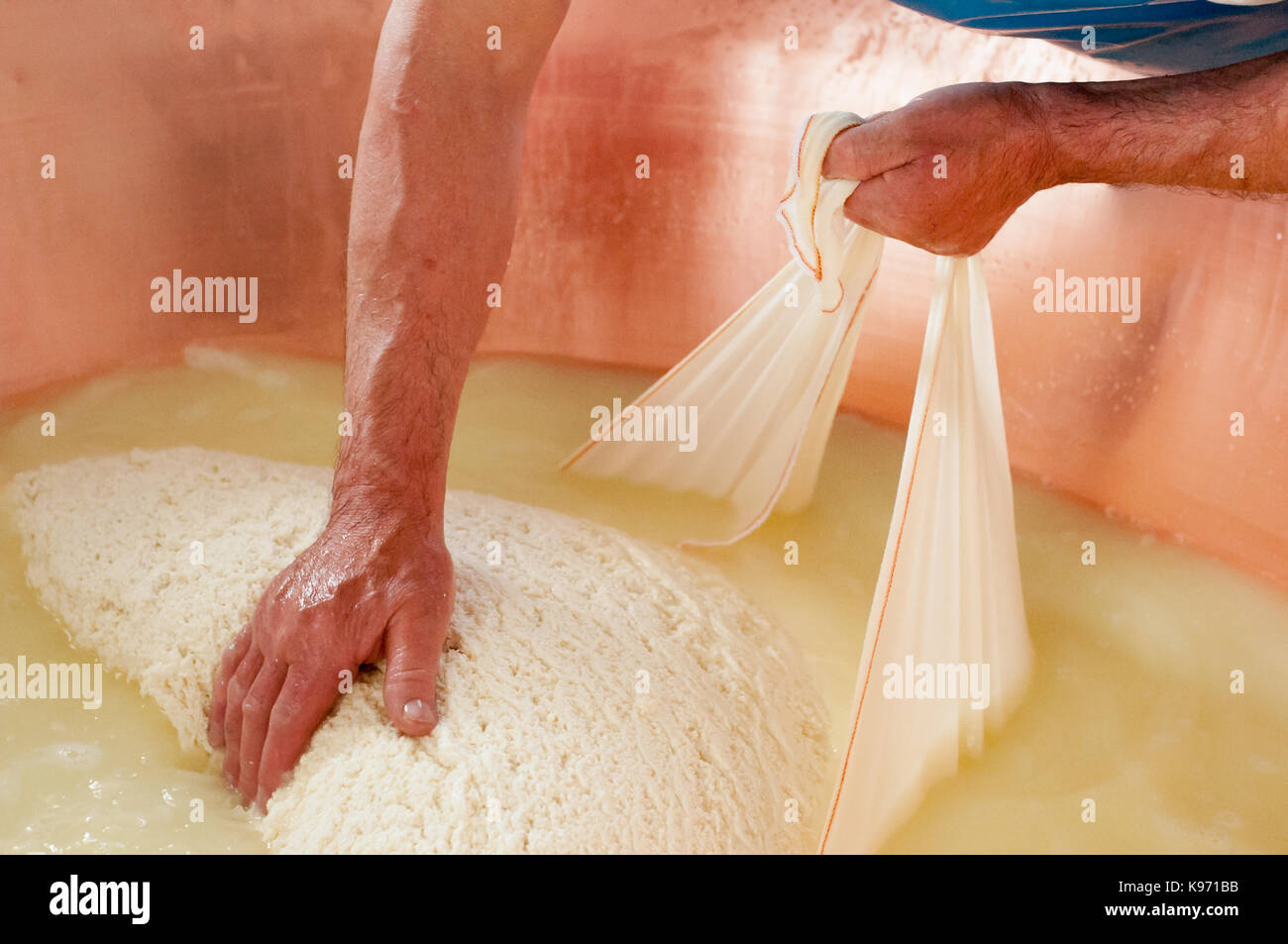 A master cheesemaker checks the solidity of curd with the hand during the Parmigiano-Reggiano cheese manufacturing process Stock Photo