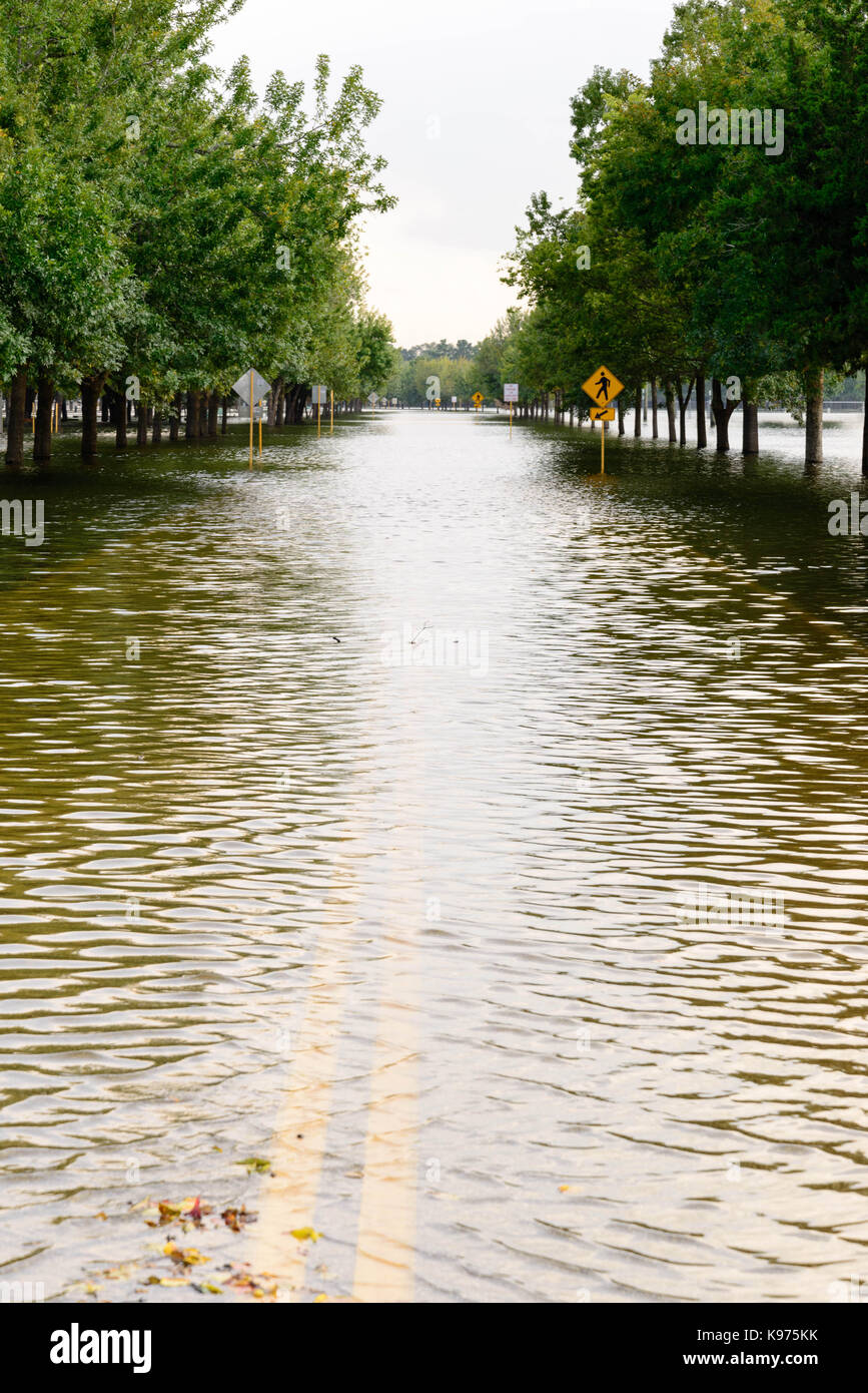 post-Harvey standing hurricane flood waters in Addick's Reservoir ...