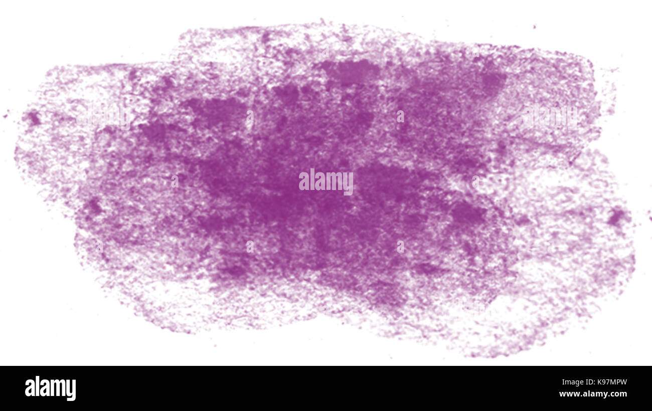 Pink sky clouds Cut Out Stock Images & Pictures - Alamy