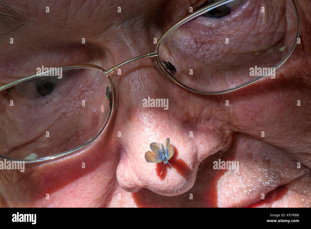 the smallest bolsa in the world