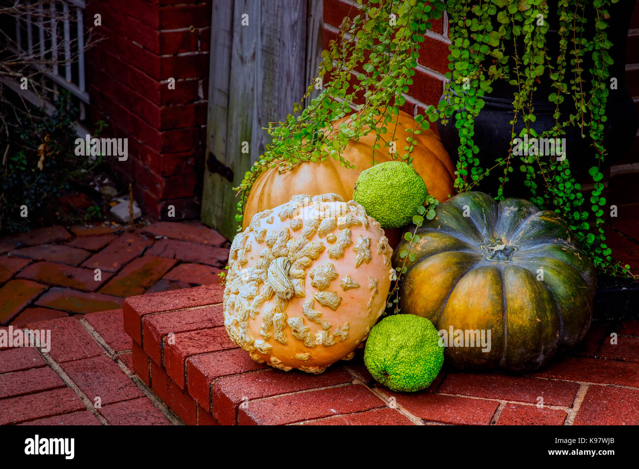 Decorations for thanksgiving sitting out on a northern Virginia doorstep. Stock Photo