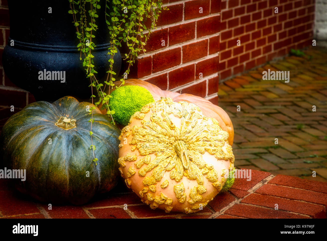 Decorations for thanksgiving sitting out on a northern Virginia doorstep. Stock Photo