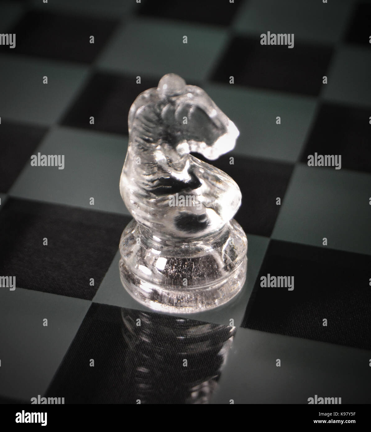 Glass Knight Chess Piece Stock Photo