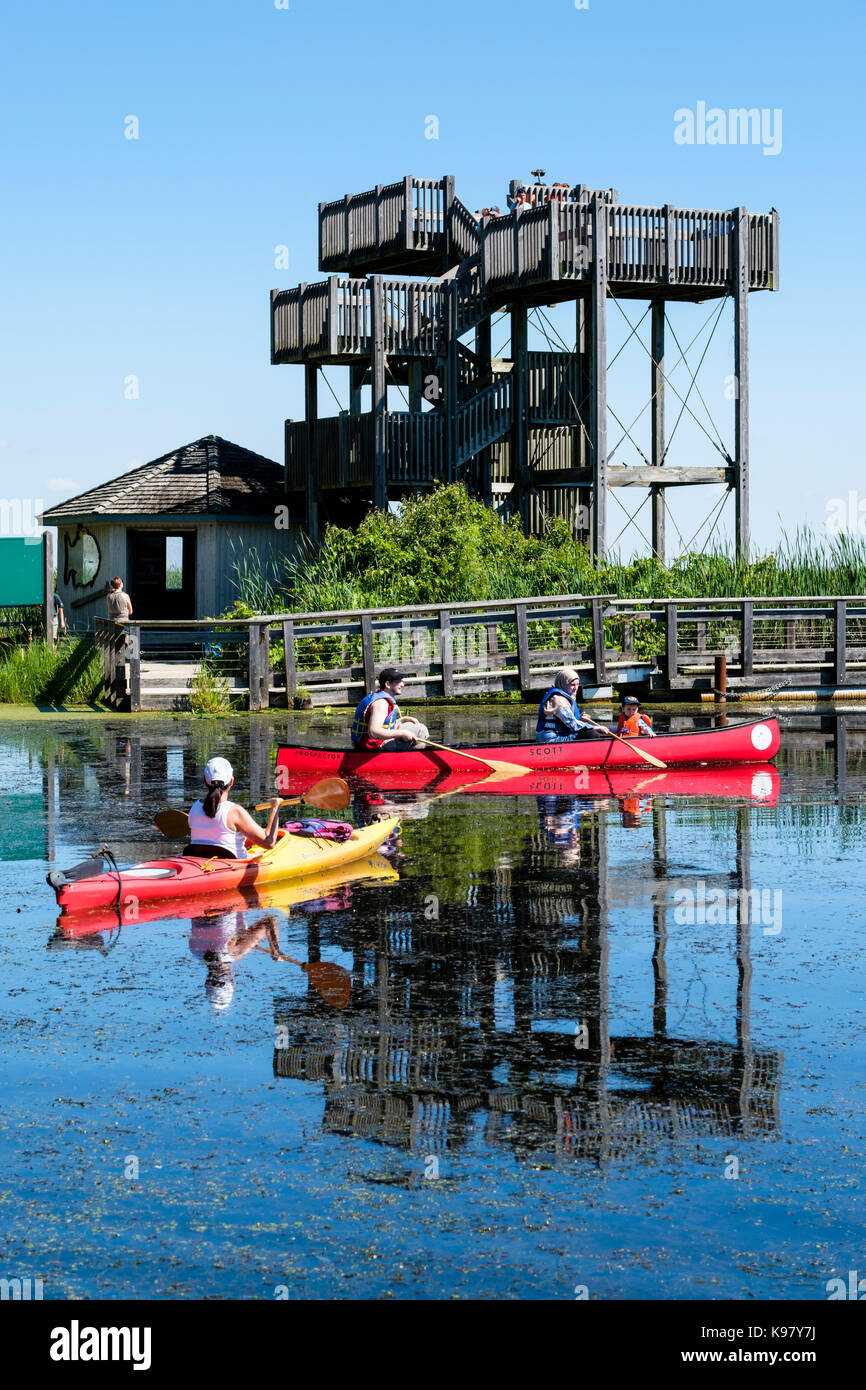 Visitors on a Summer day at Point Pelee National Park canoeing, kayaking and enjoying the view from the top of the observation tower, Ontario, Canada. Stock Photo