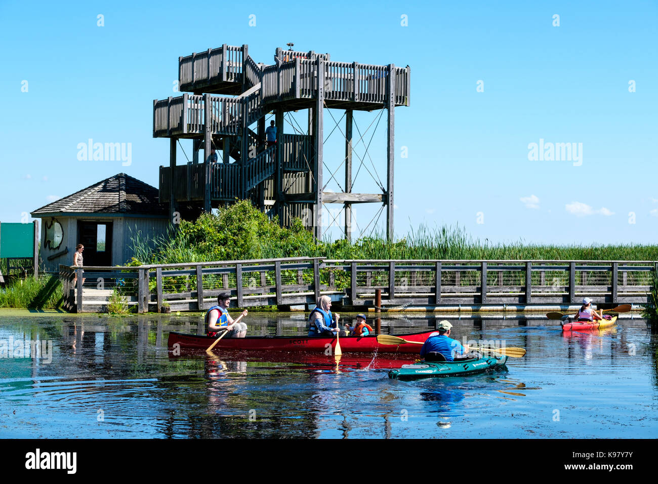 Visitors on a Summer day at Point Pelee National Park canoeing, kayaking and enjoying the view from the top of the observation tower, Ontario, Canada. Stock Photo