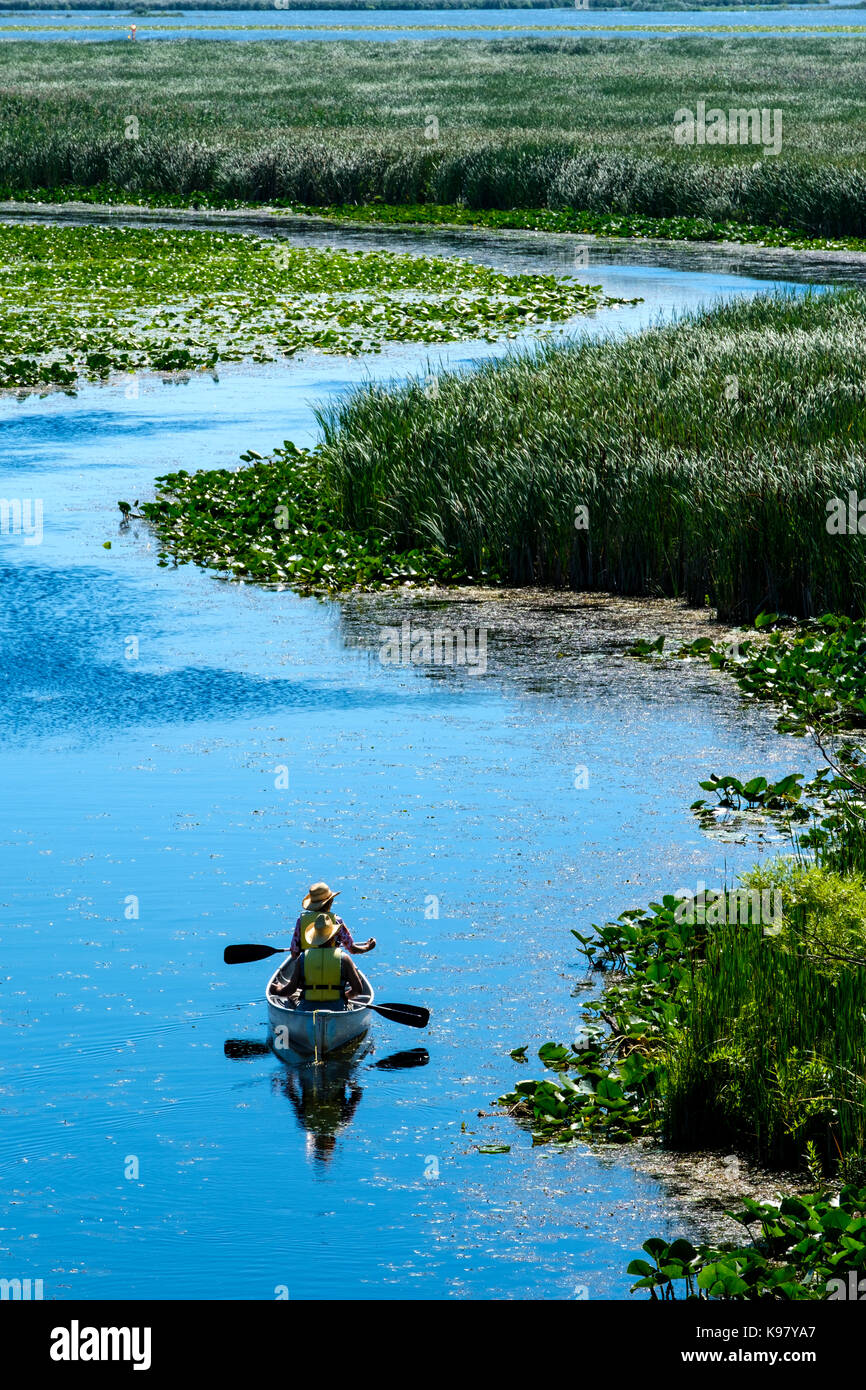 A couple canoeing rowing on a canoe on a Summer day at Point Pelee