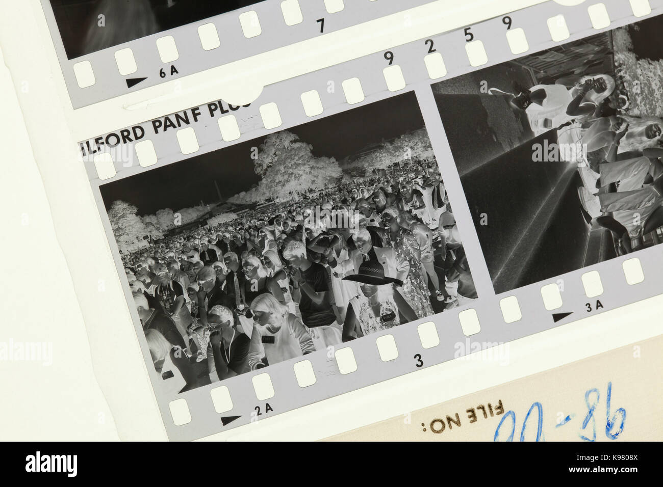Exposed Kodak Tri-X 400 black and white negative film on light table - USA Stock Photo