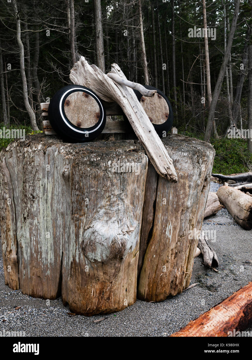 A creative driftwood sculpture of an Elephant head on a beach. Stock Photo