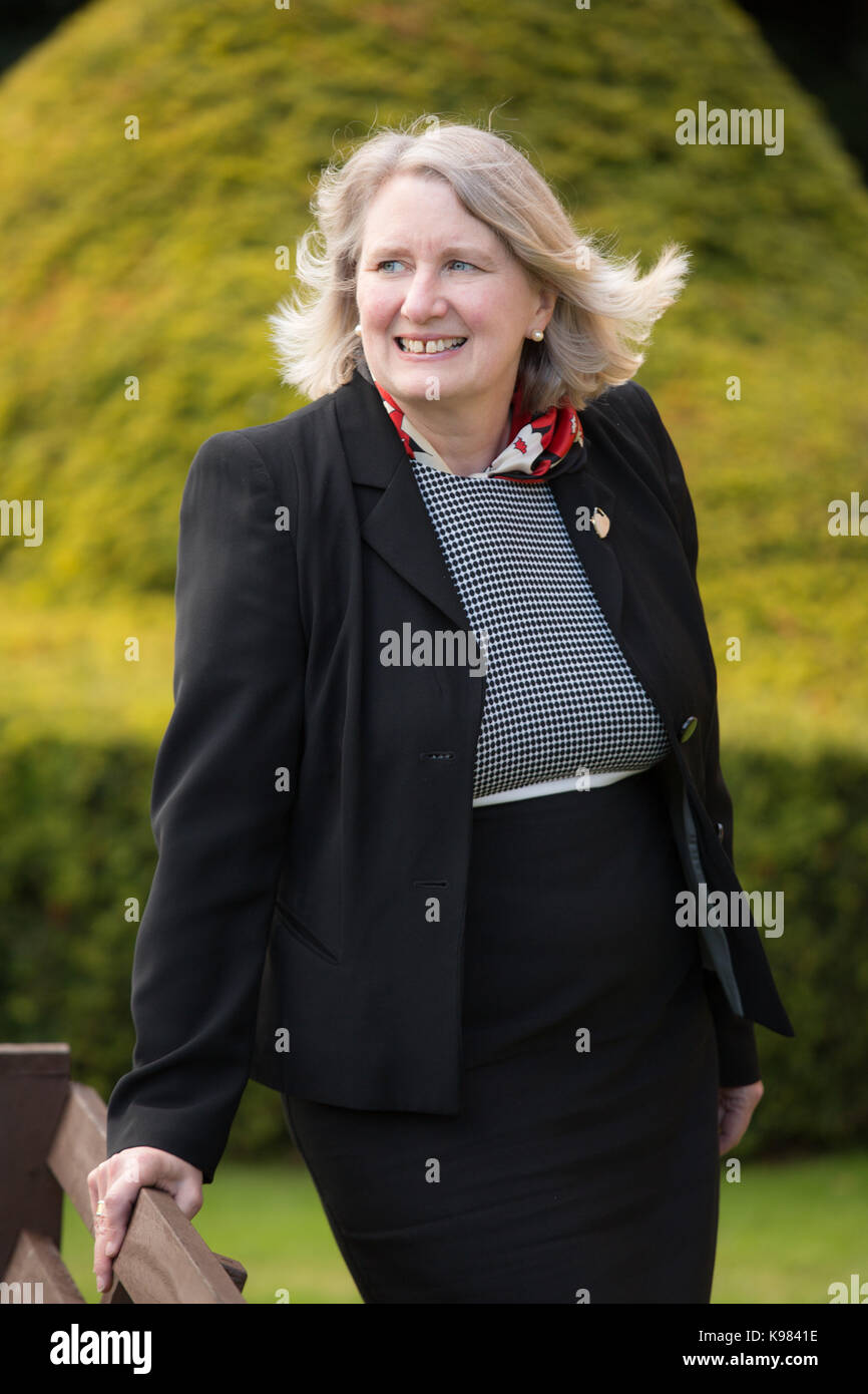 Birmingham City Council Chief Executive Stella Manzie Stock Photo