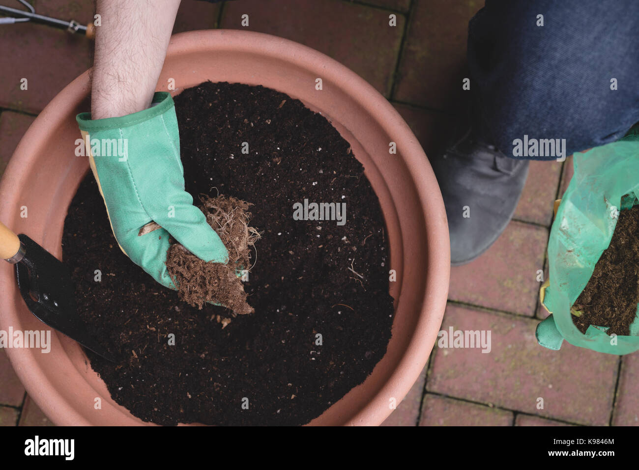 Low-section of man potting a plant in the garden Stock Photo - Alamy