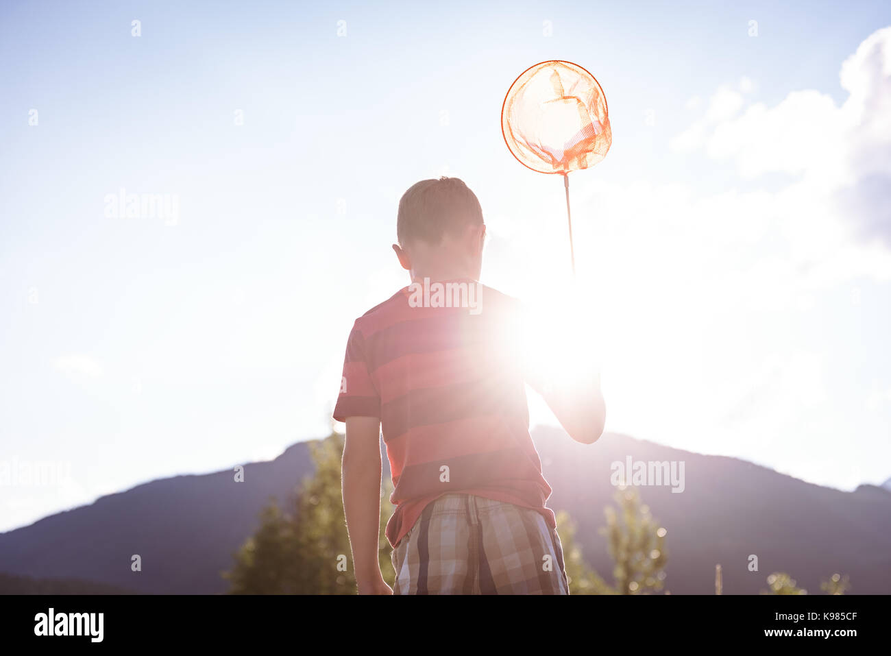 Rear view of boy holding butterfly net on a sunny day Stock Photo