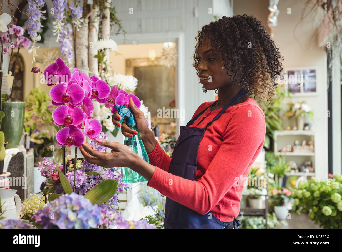 Female florist spraying water on flowers in flower shop Stock Photo Alamy