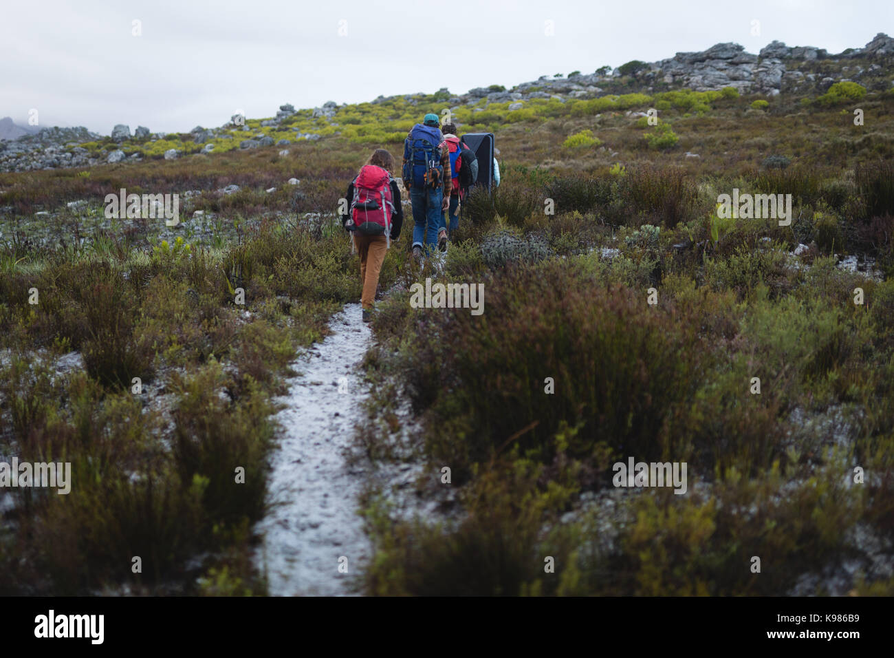 Rear view young friends hiking hi-res stock photography and images - Alamy