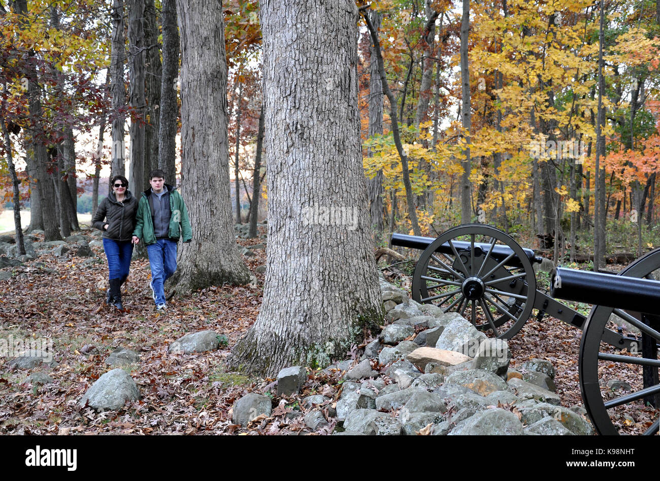 Gettysburg National Military Park, Pennsylvania, USA - October 31, 2016 - Row of Cannons behind Stonewall along Seminary Ridge Stock Photo