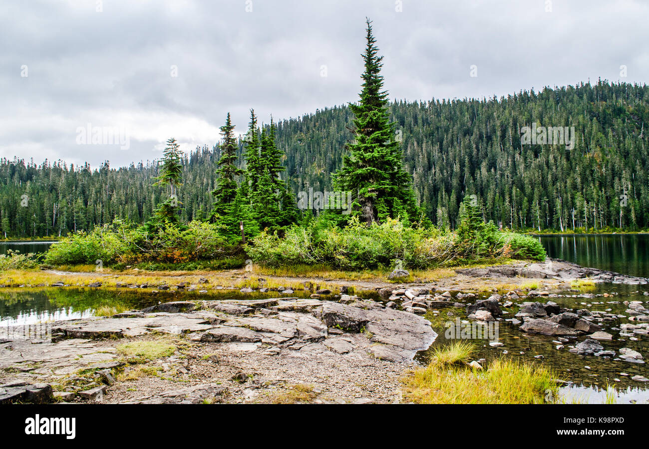 Lake Helen MacKenzie, Strathcona, Vancouver Island Stock Photo Alamy