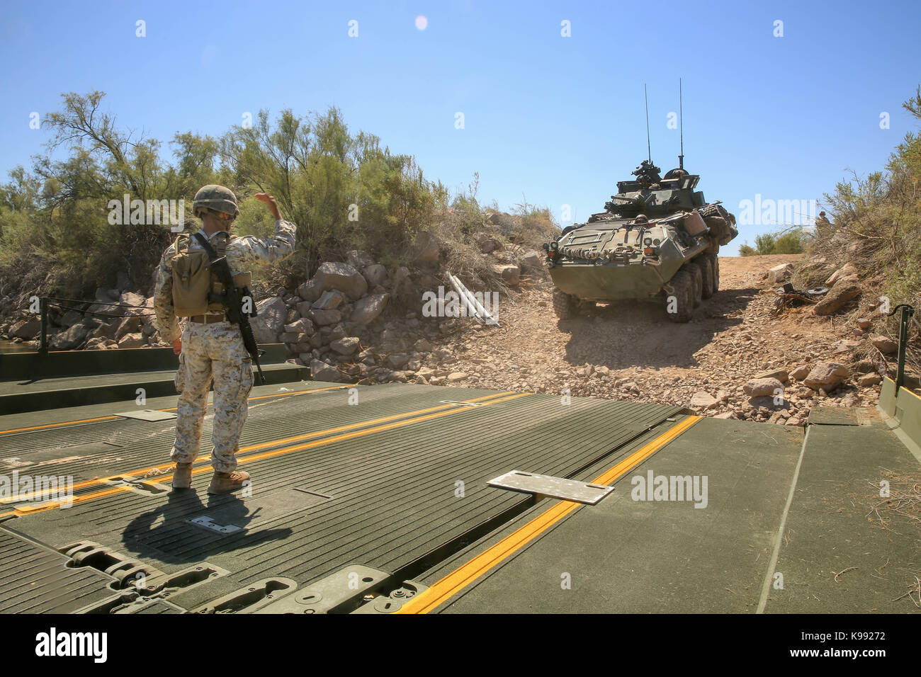 LAV-25 Armored Vehicles Stock Photo