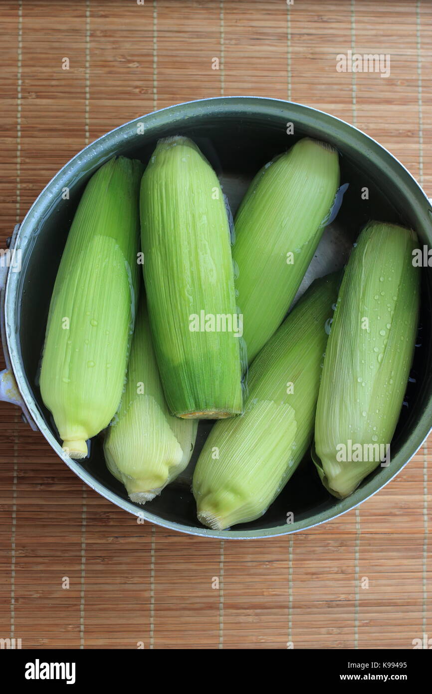 Fresh corn ready to be boiled in a pot Stock Photo